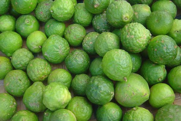 Lemon Segar dan Jeruk Nipis Segar from Uganda